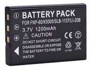 CASIO CNP-30 Batterie